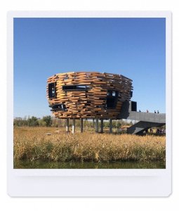 ​北京温榆河公园-北京秋天去哪玩系列