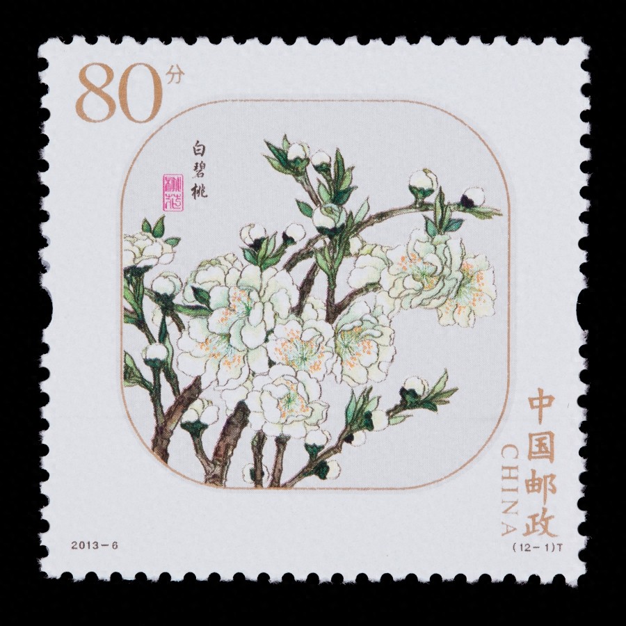 【图集】十里桃林,十里桃花,漫山遍野的灼灼芳华。