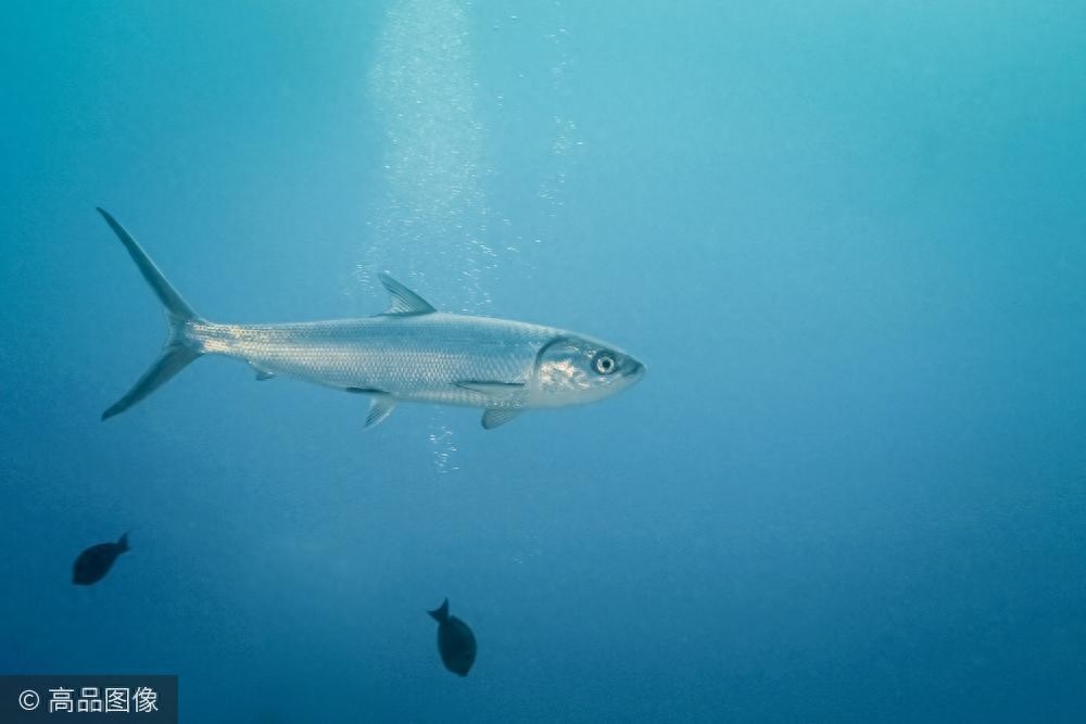 全球最冷清却又有绝美风景的旅游胜地:基里巴斯