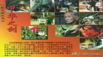 ​关于缉毒的影视作品有哪些（盘点6部高分经典缉毒影视作品）