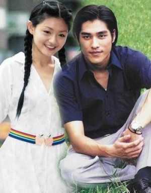 蓝正龙造成大S不孕真相 蓝正龙打大S是怎么回事