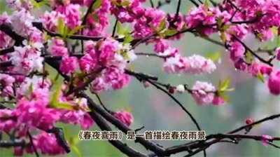 ​杜甫经典诗作《春夜喜雨》
