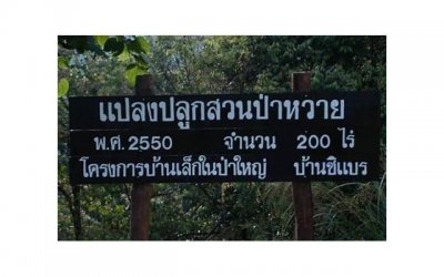 ​“和亲家公搭伙是我最错的选择”老人哭诉：他满意，我有苦难言