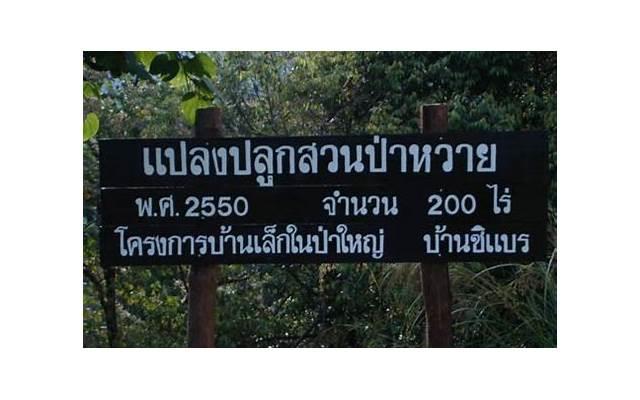 “和亲家公搭伙是我最错的选择”老人哭诉：他满意，我有苦难言