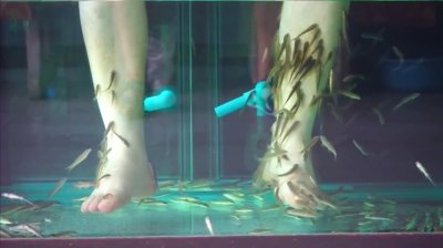 ​女子做鱼疗太享受，下一秒小鱼全翻白肚皮，结果商家索赔五万元