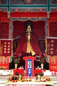 ​为泰山老奶奶祝寿，今晚8点后，红门宫一直开门纳客！