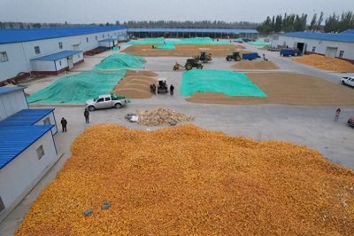 ​银川发放“惠农补贴” 振兴乡村惠民生