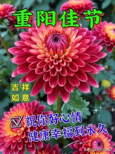 ​2023最新重阳节祝福图片，唯美漂亮！九九重阳，祝福久久！