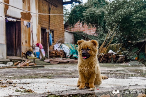 广东南雄市珠玑古巷：仅有1500米是广府183个姓氏发祥地，看咋样
