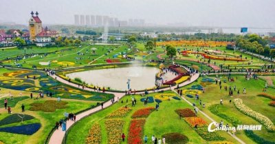 ​春日必打卡！武汉花博汇春游热度飙升