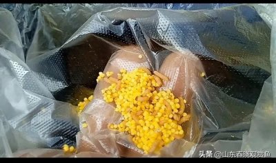 ​米虫，老一辈玩鱼人，才知道的东西