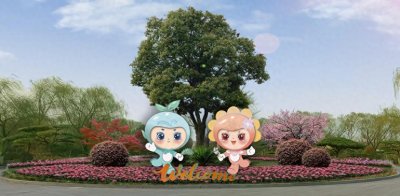 ​五一节可去这里赏花海，济南东郊鲜花港卡通IP全新亮相