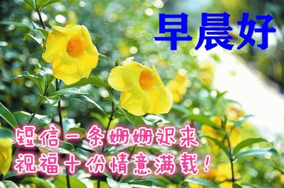 ​中老年表情包：人生如梦，梦却不随人愿，万般皆是命，半点不由人