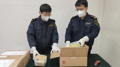 ​“最强锹甲”闯关被擒！北京海关连续查获异宠活体甲虫