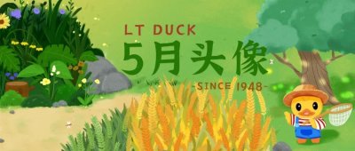​LT DUCK小黄鸭头像丨5月的梦 开始要鲜艳