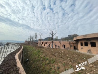 三峡动物园建设超八成，预计年内竣工