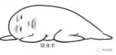 ​“会隐身术”的他避开所有人的视线 入室行窃12起次次得手