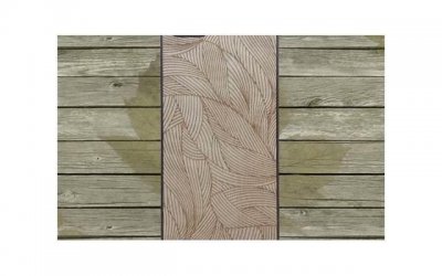 ​disc老虎猫头鹰