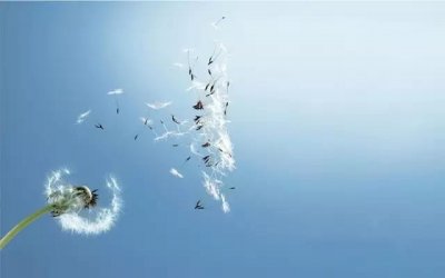 ​汪国真《走向远方》