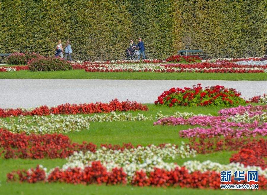 维也纳:秋至美泉宫