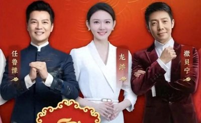 ​今年春晚央视主持人图片